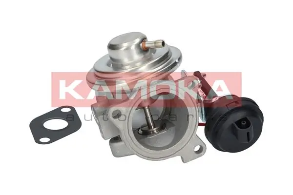 EGR Valve