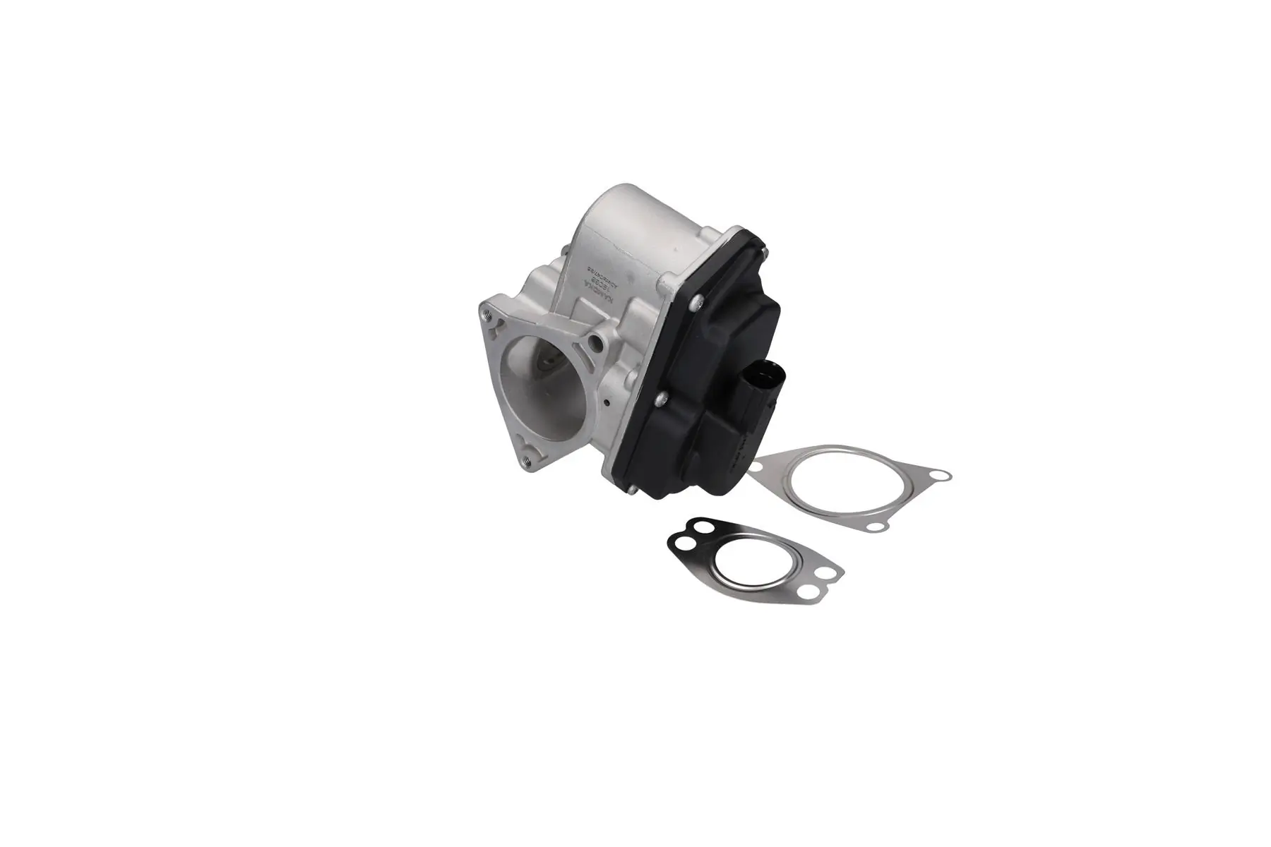 EGR Module