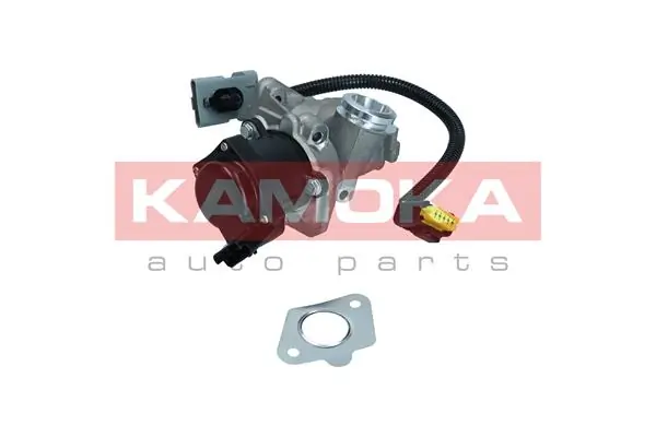 EGR Valve
