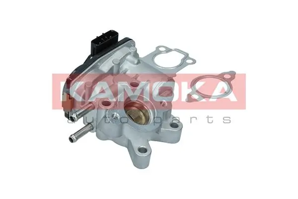 EGR Valve