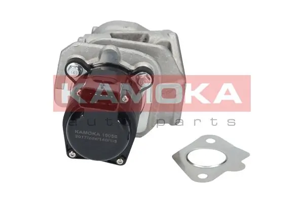 EGR Valve