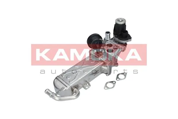 EGR Module