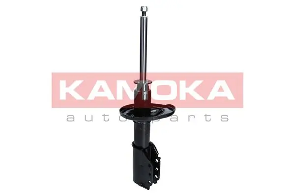 Shock Absorber