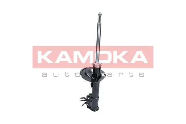 Shock Absorber
