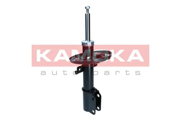 Shock Absorber