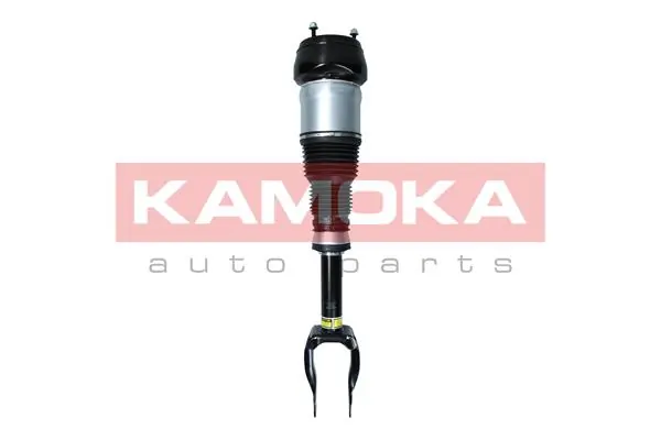 Air Suspension Strut