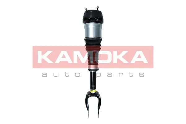 Air Suspension Strut
