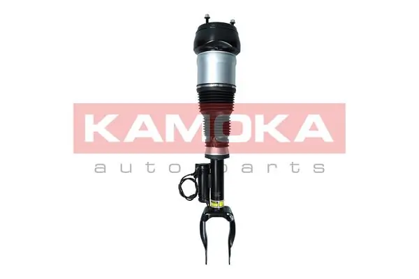 Air Suspension Strut