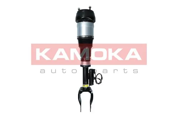 Air Suspension Strut