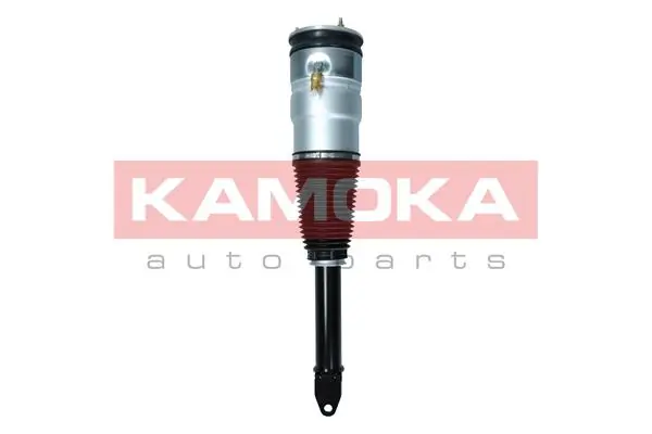 Air Suspension Strut