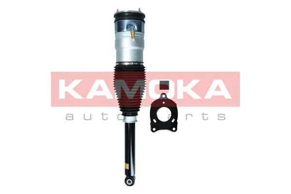Air Suspension Strut