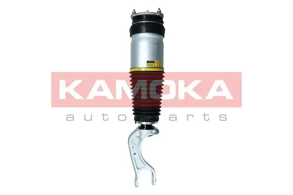 Air Suspension Strut