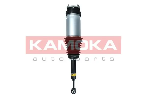 Air Suspension Strut