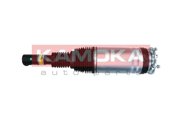 Air Suspension Strut