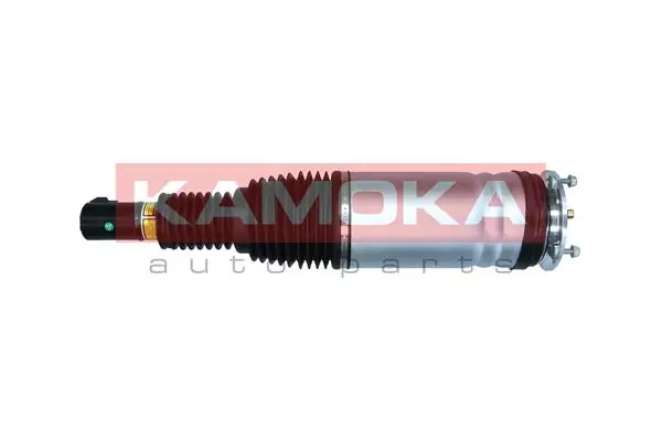 Air Suspension Strut