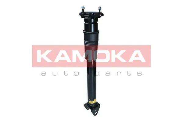 Air Suspension Strut