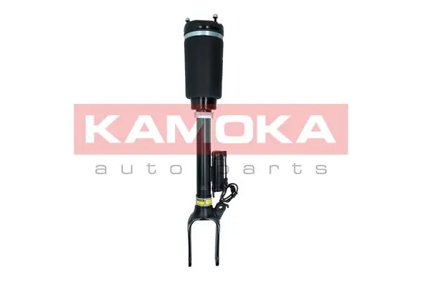 Air Suspension Strut