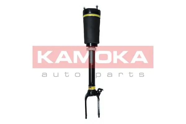 Air Suspension Strut