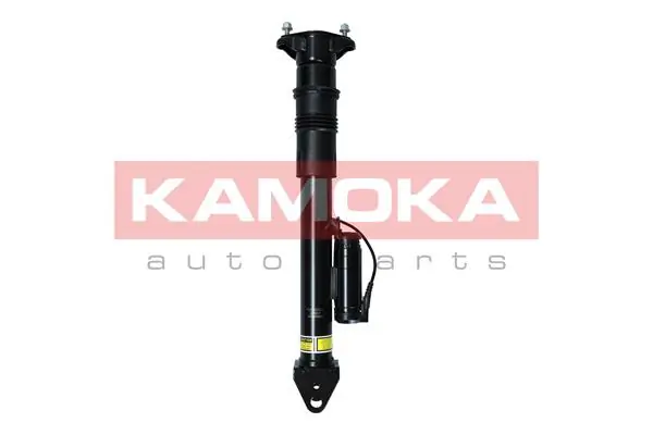 Air Suspension Strut