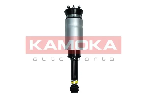 Air Suspension Strut
