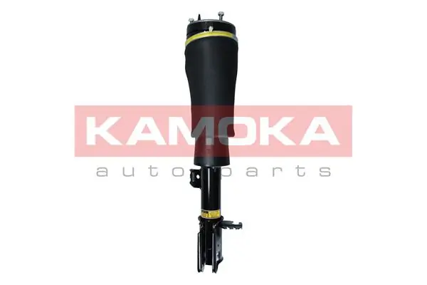 Air Suspension Strut