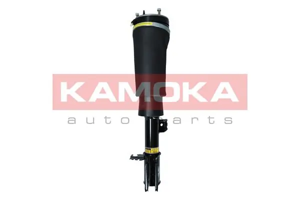 Air Suspension Strut