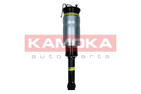 Air Suspension Strut