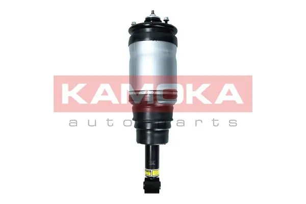Air Suspension Strut