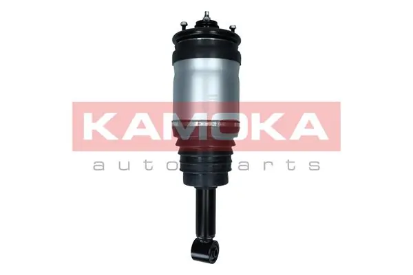 Air Suspension Strut