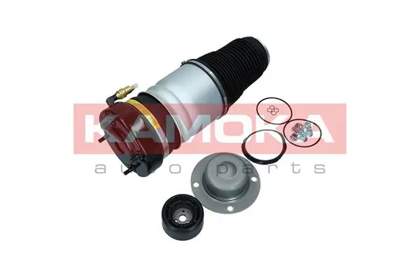 Air Spring, suspension