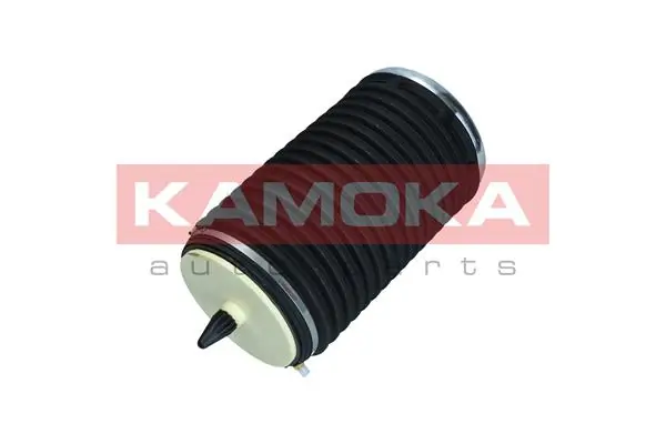 Air Spring, suspension