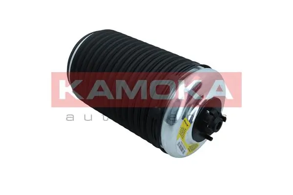 Air Spring, suspension