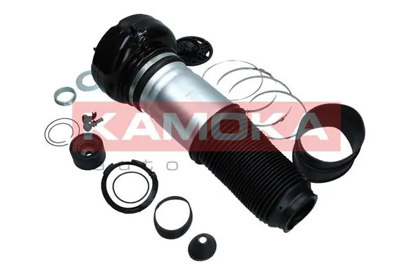 Air Spring, suspension