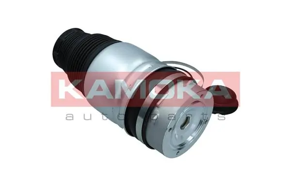 Air Spring, suspension