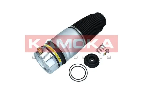 Air Spring, suspension