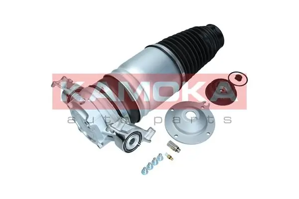Air Spring, suspension
