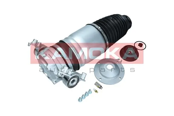 Air Spring, suspension