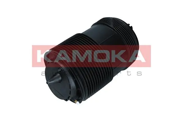 Air Spring, suspension