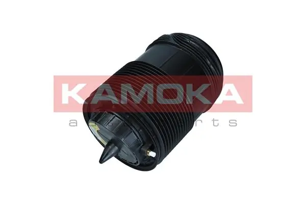 Air Spring, suspension