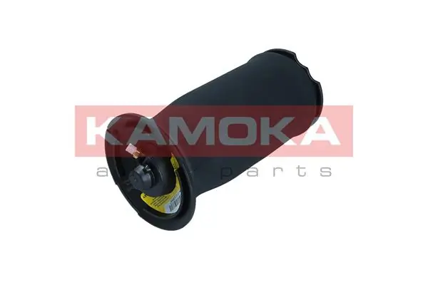 Air Spring, suspension