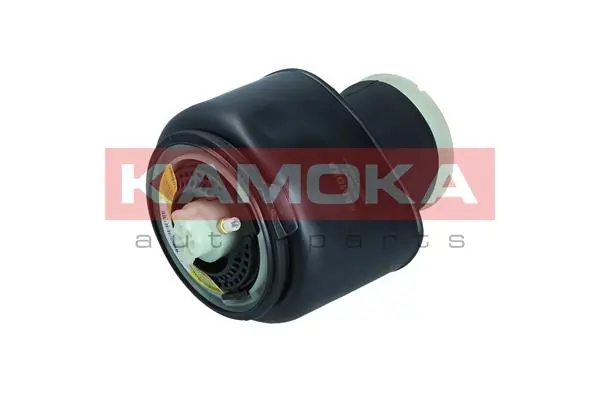 Air Spring, suspension
