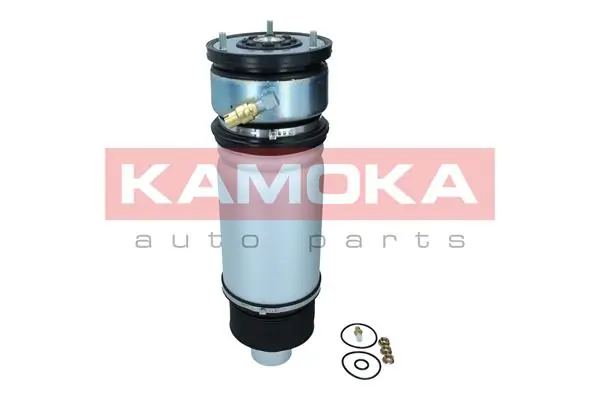 Air Spring, suspension