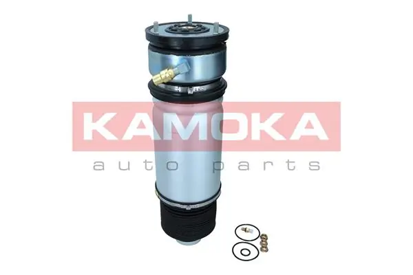 Air Spring, suspension