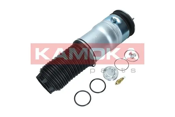 Air Spring, suspension