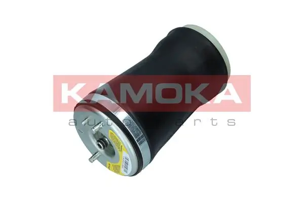 Air Spring, suspension