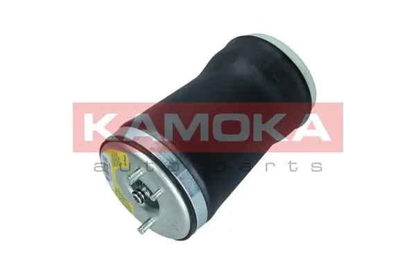 Air Spring, suspension