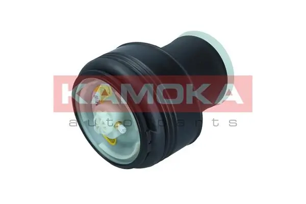 Air Spring, suspension