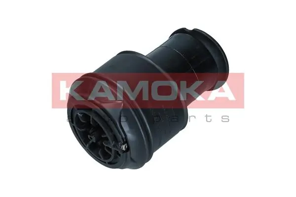 Air Spring, suspension