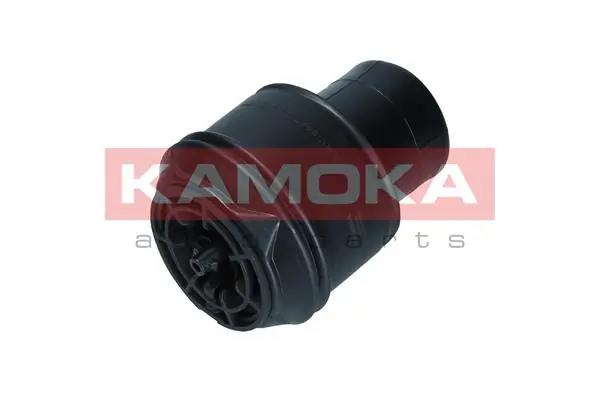 Air Spring, suspension
