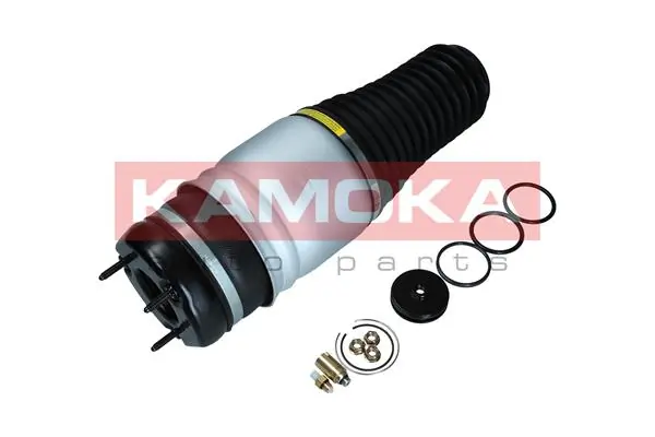 Air Spring, suspension